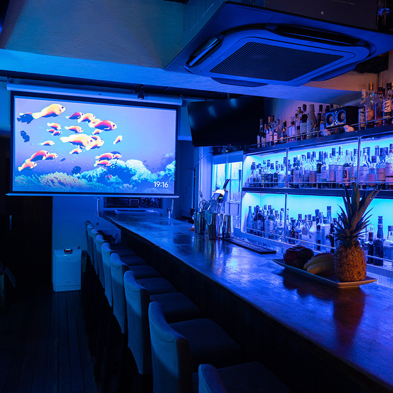 港区六本木龍のショットバー 龍 IMPROVE